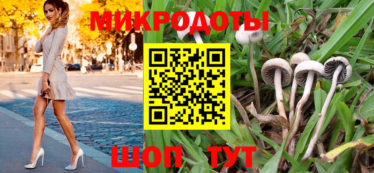 Псилоцибиновые грибы мицелий  магазин продажи   Электросталь  Вход с VPN 